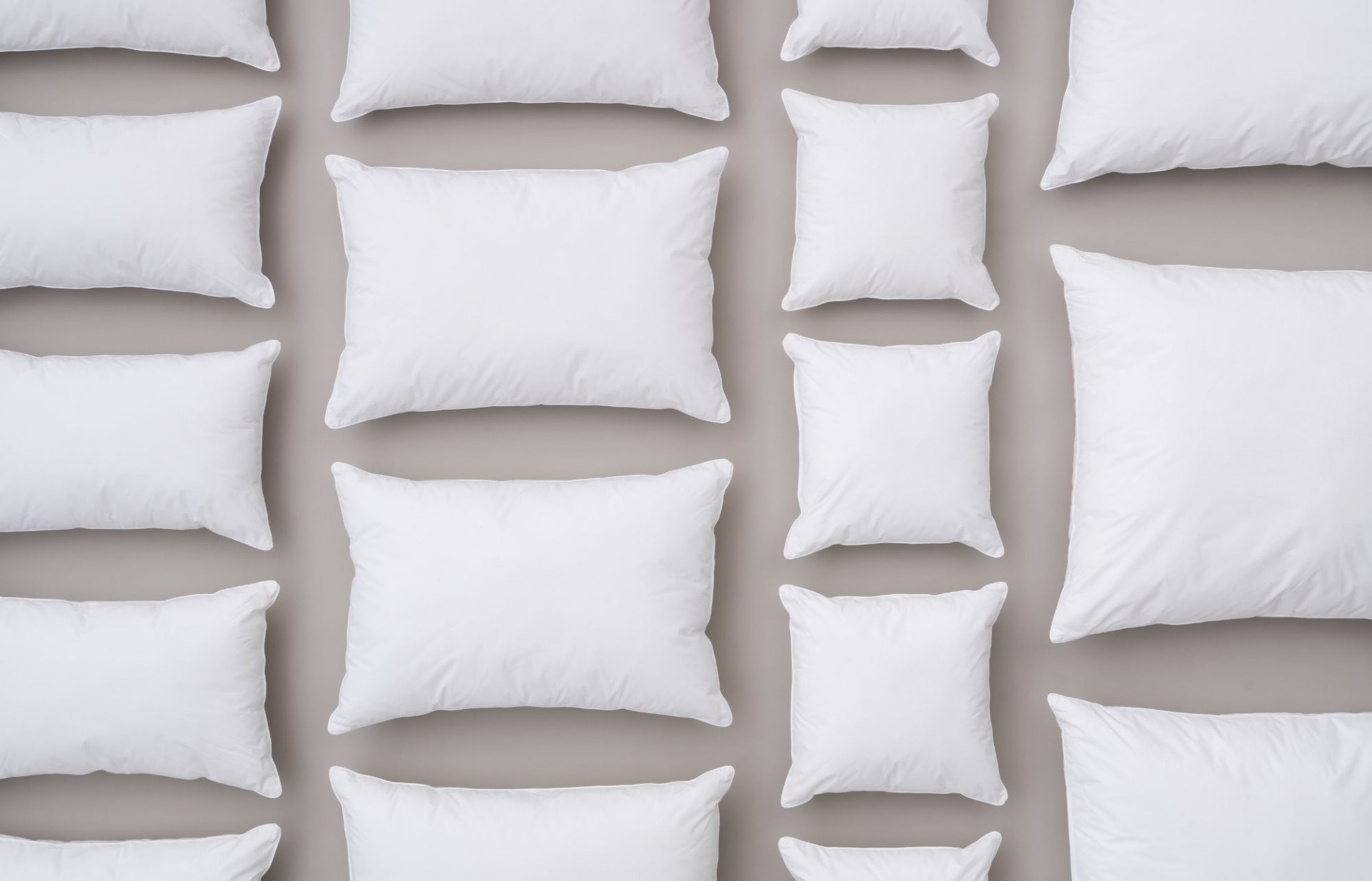 Various sizes of our Comfort Medium pillow.